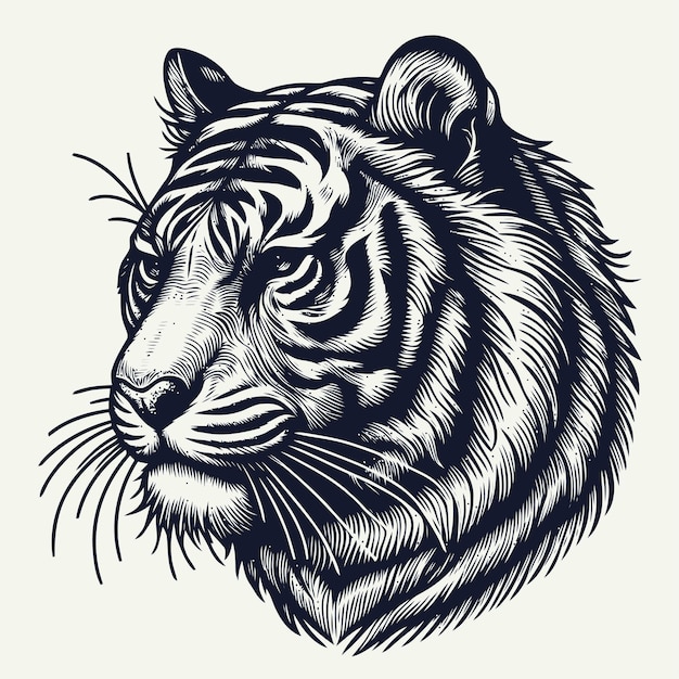 tiger illustration with engraving style