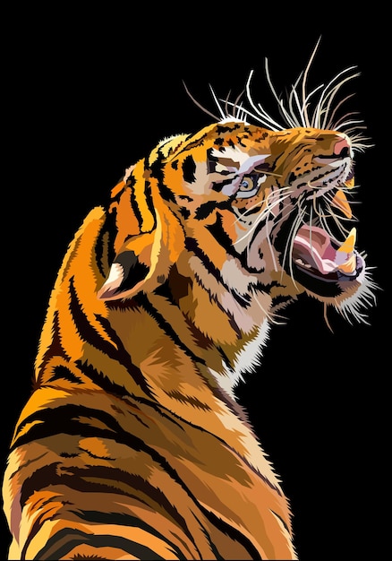 Vector tiger isolated on black background vector illustration