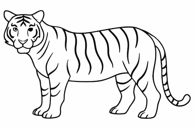 tiger line art