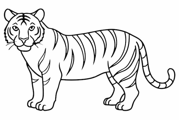 tiger line art