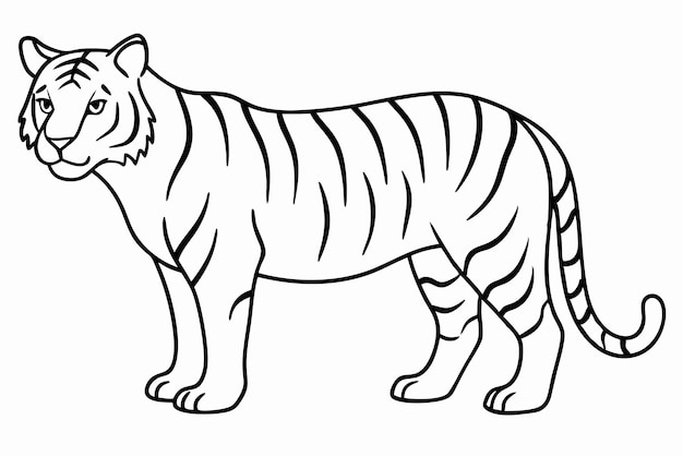 tiger line art