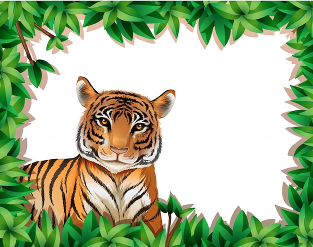 Vector a tiger in nature frame