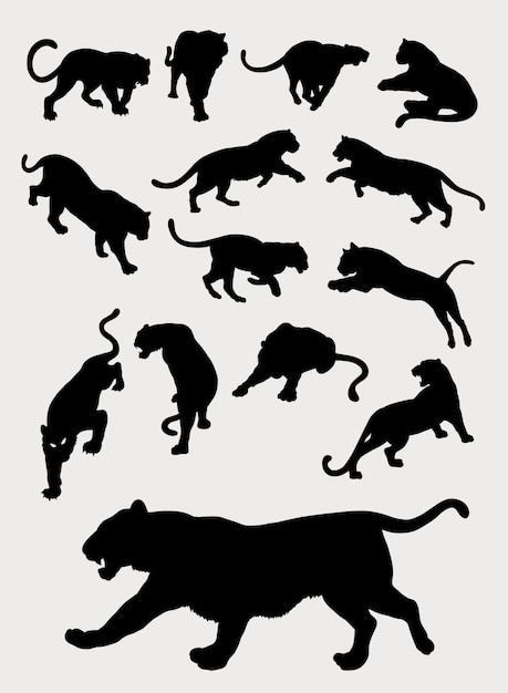 Tiger, panther, leopard, gesture silhouettes