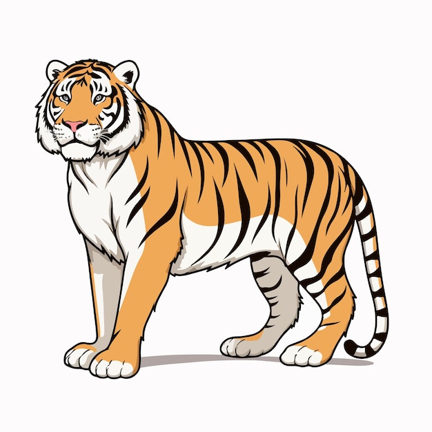 Tiger platte vector illustratie Tiger cartoon hand tekenen geïsoleerde vector illustratie