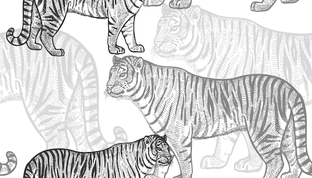 Тигр Бесшовный узор Ручной рисунок дикой природы Векторная иллюстрация Черно-белый