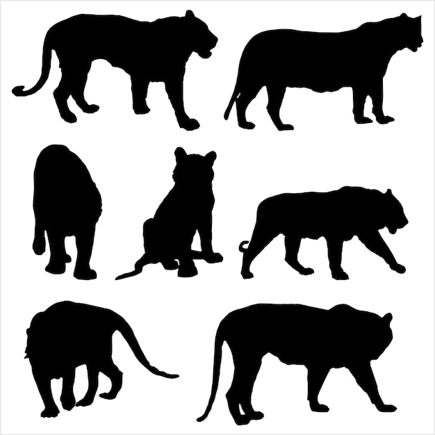 Tiger silhouette set vector illustration Collection of Tiger silhouette