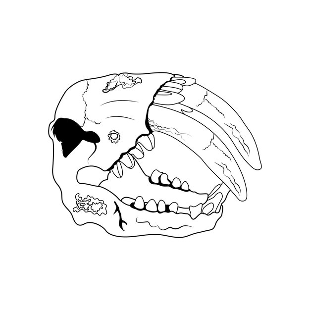 Tiger skull vector illustration