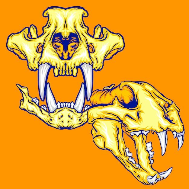 Tiger skull