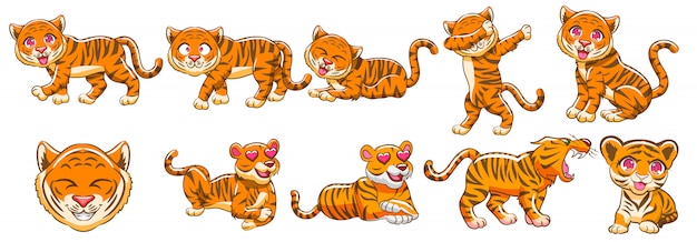 tiger vector set clipart