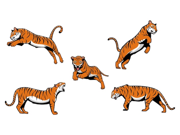 Tigers Cartoon Illustration Pack isolated on a white background