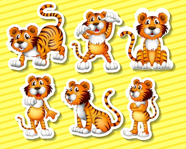 Vector tigers