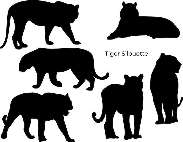 Tigers