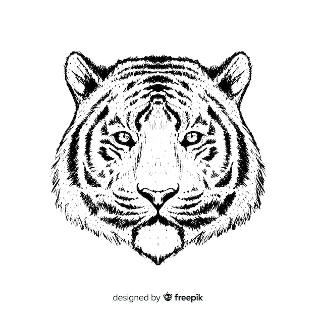 Vector tijger hoofd