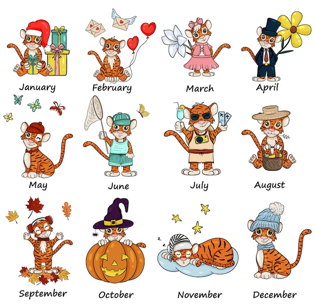 Tijgersymbool van het chinese of oosterse nieuwjaar, 12 maanden. perfect voor kalenderontwerp. vector illustratie cartoon stijl