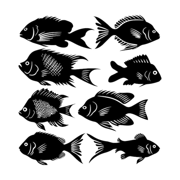 Tilapia Fish black Silhouette illustration