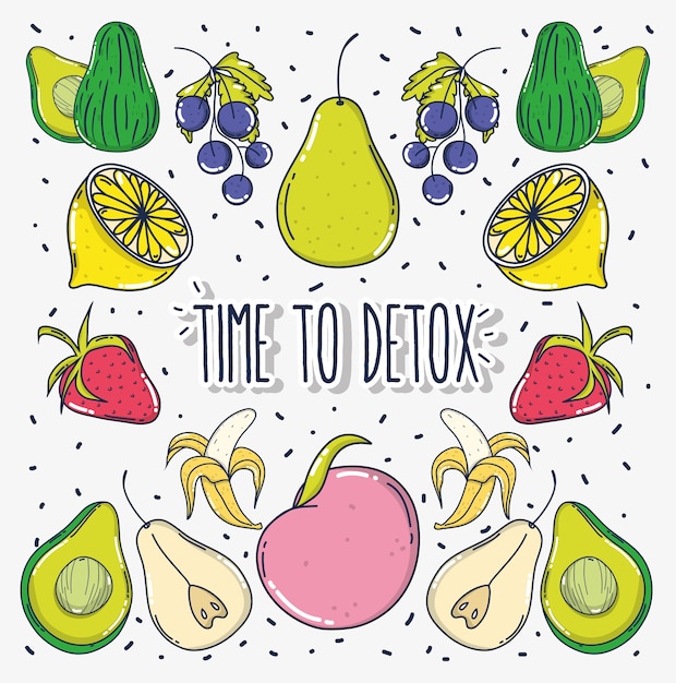 Vector time to detox fruits cartoons