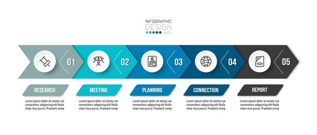 Timeline chart business infographic template