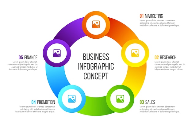 Timeline infographics design  business concept with 5 options, steps or processes.