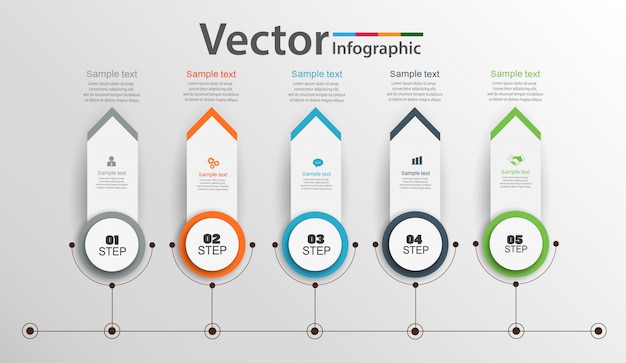 Timeline infographics design  with 5 options, steps or processes