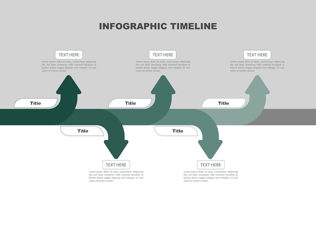 Vettore timeline e passo dopo passo e infografica