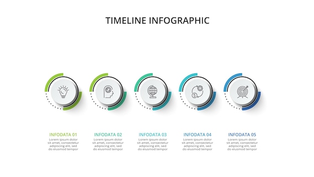 Timeline con un modello di infografica a 5 elementi per l'illustrazione vettoriale di presentazioni aziendali web