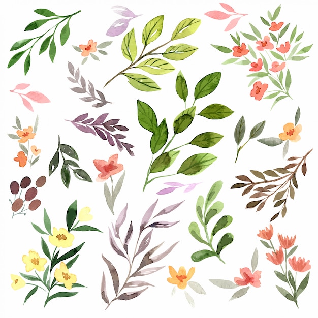 Vector tiny delicate flora, watercolor flowers, leaves and branches.