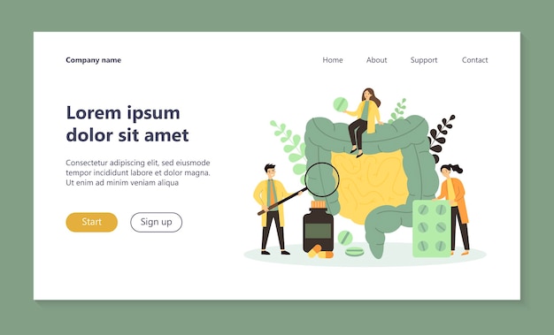 大腸のランディングページをチェックして治療する小さな医者