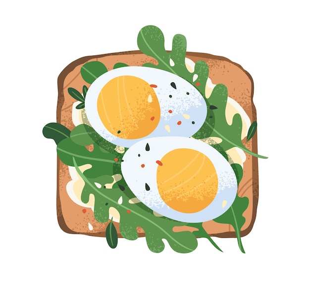 Toast met gekookte eieren, rucola en roomkaas op gegrild brood. Sandwich met plakjes verse ingrediënten. Vegetarische snack. Ontbijt. Platte vectorillustratie geïsoleerd op een witte achtergrond.