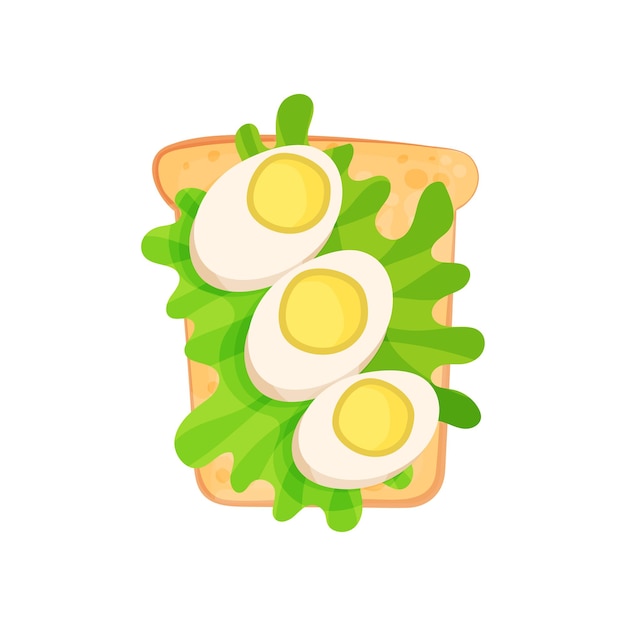 Toasted bread slice with halves of boiled eggs and leaves of lettuce tasty snack for breakfast food theme flat vector icon