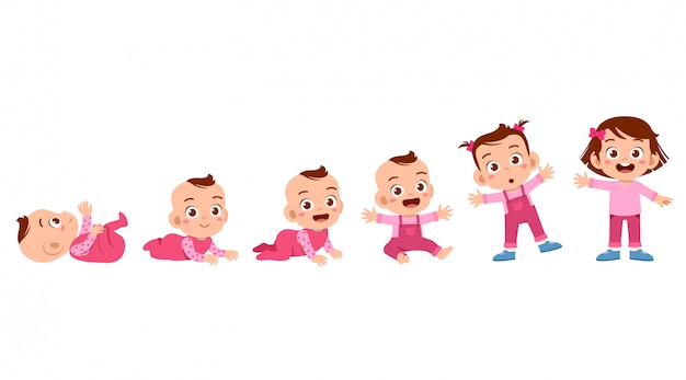 Vector toddler grow cycle process