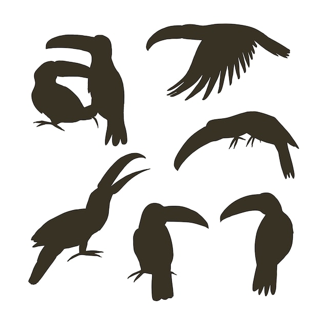 Toekan vogel vector silhouet illustraties set