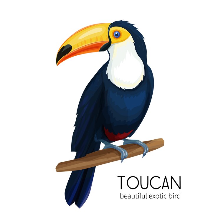 Vector toekanvogel