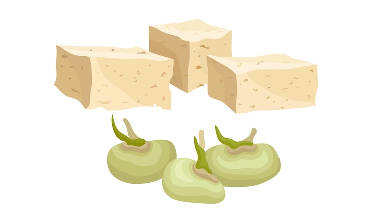 Vector tofu or soy cheese and raw soy beans vector set