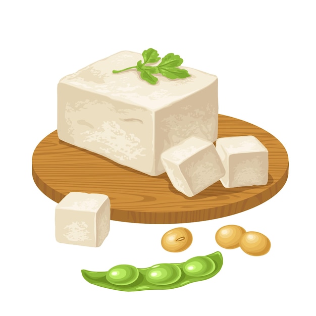 Tofu on wood board and open soybean pod Vector color illustration