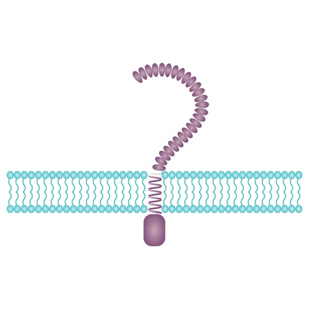 Toll-like receptor wetenschap vector illustratie achtergrondafbeelding