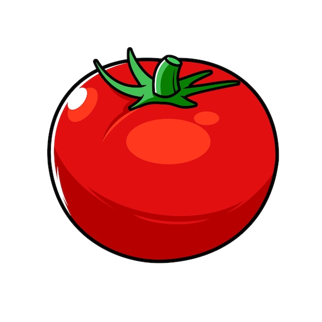 Vector tomaat groente vector illustratie ontwerp