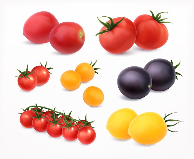Tomaten realistische set met verschillende soorten en kleuren geïsoleerde vectorillustratie