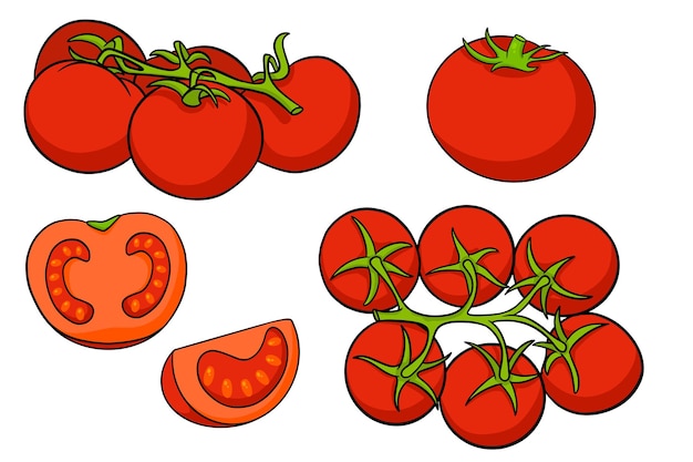 Vector tomaten set verse tomaten tomaten op een tak anderhalve wig in een cartoon-stijl vectorillustratie voor ontwerp en decoratie