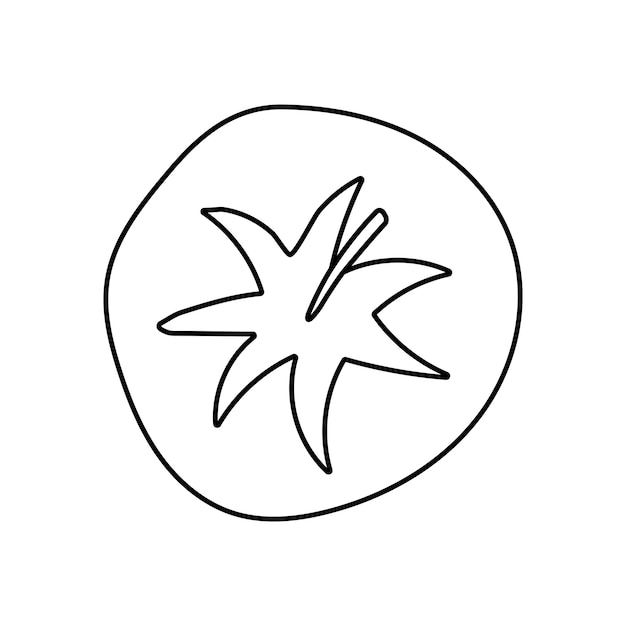 トマト落書き白い背景ベクトル グラフィック デザインのフラットの図