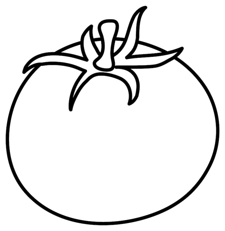 Vector 색칠을 위한 토마토 낙서 개요