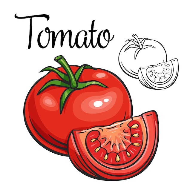 Tomato drawing icon