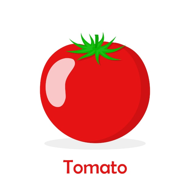 Tomato flat icon Vector illustration