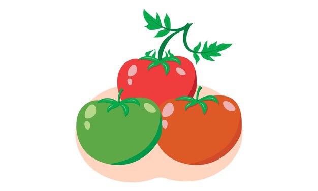 Vettore icona di frutta di pomodoro e illustrazioni vettoriali, icona di frutta di pomodoro creative kids,