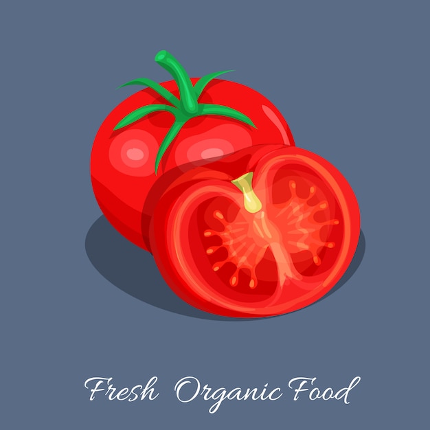 Tomato illustration