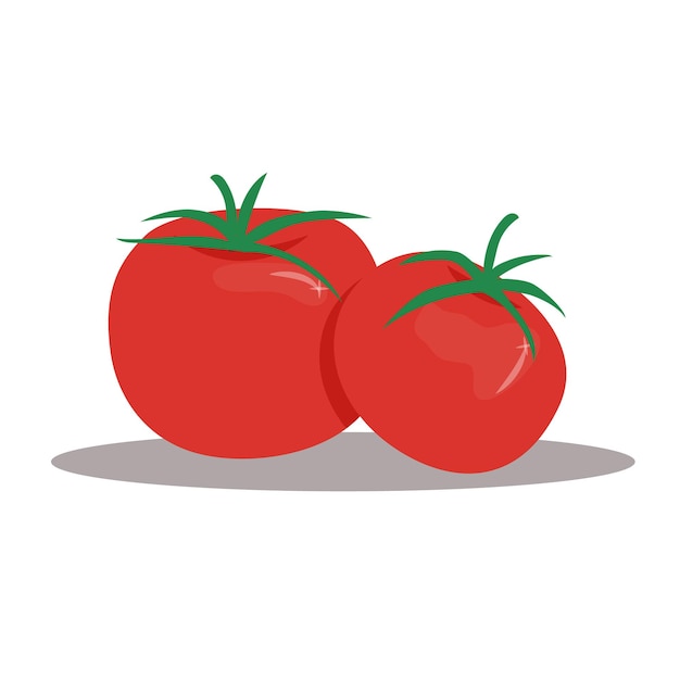 Tomato illustration