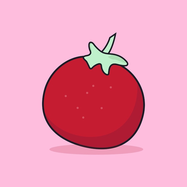 Vector tomato illustration