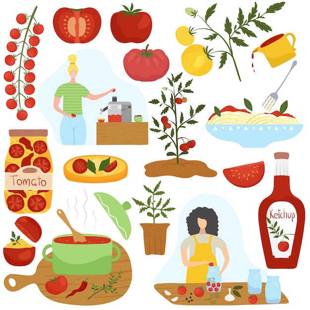 Ingrediente del pomodoro in piatti differenti, illustrazione di cottura domestica