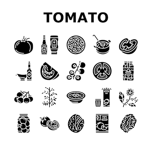 토마토 천연 비타민 야채 아이콘 벡터 설정