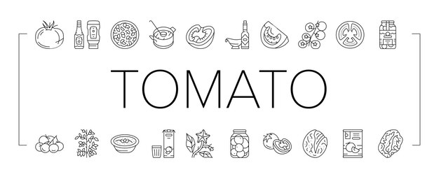 Vector tomato natural vitamin vegetable icons set vector