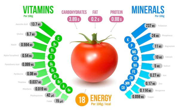 Vector tomato nutrients infographics diagram representing vitamins minerals carbohydrates fats protein energy realistic vector illustration